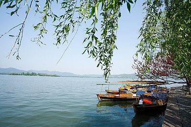 国产单机游戏销量榜曝光：《黑神话》3000万份